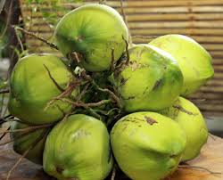 coconut water.jpg